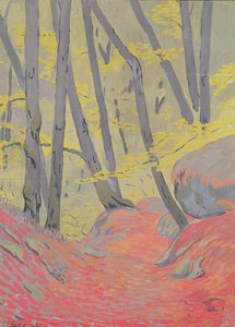Sotobosque